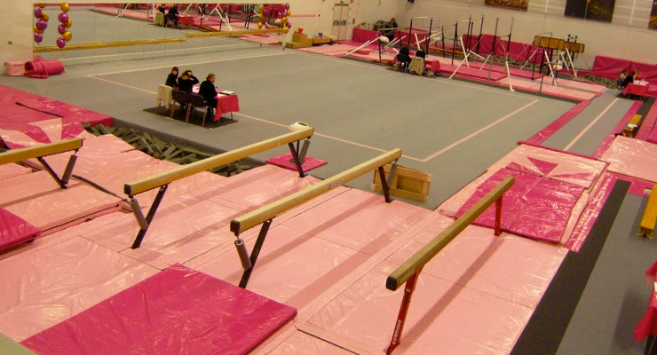 pink south durham gymnastics vlub